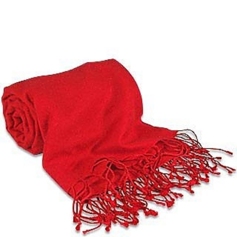 Red Pashmina & Silk Feminine Organic Luxury Winter Fall Vibrant Scarf Shawl